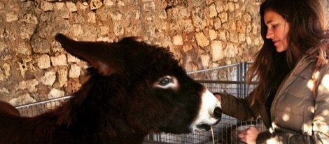 Malena Costa dando de comer a un burro en Mallorca