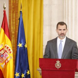 El Rey Felipe VI en la entrega de los Premios Nacionales de Investigación 2014