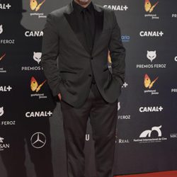 Javier Cámara en la alfombra roja de los Premios Feroz 2015