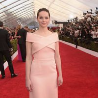 Felicity Jones en la alfombra roja de los Screen Actors Guild Awards 2015