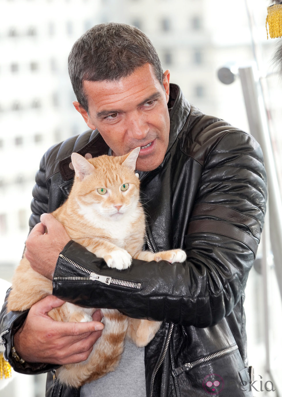 Antonio Banderas en la presentación de 'El gato con botas' en Moscú