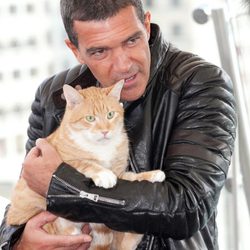 Antonio Banderas en la presentación de 'El gato con botas' en Moscú