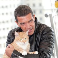 Antonio Banderas en la presentación de 'El gato con botas' en Moscú