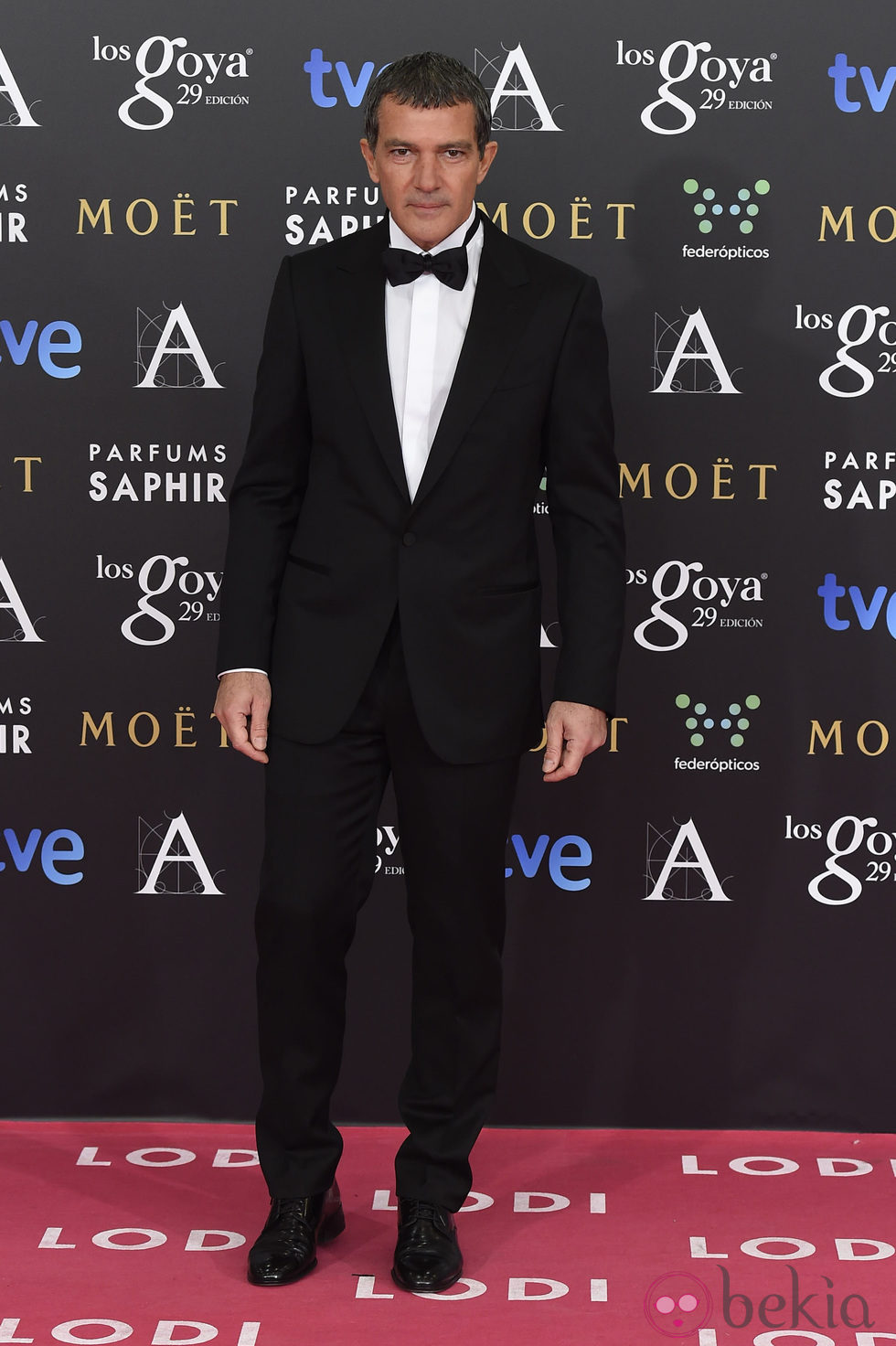 Antonio Banderas en la alfombra roja de los Goya 2015