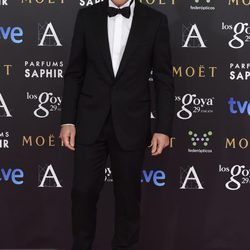 Antonio Banderas en la alfombra roja de los Goya 2015