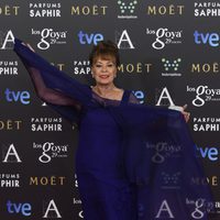 Gemma Cuervo en la alfombra roja de los Premios Goya 2015