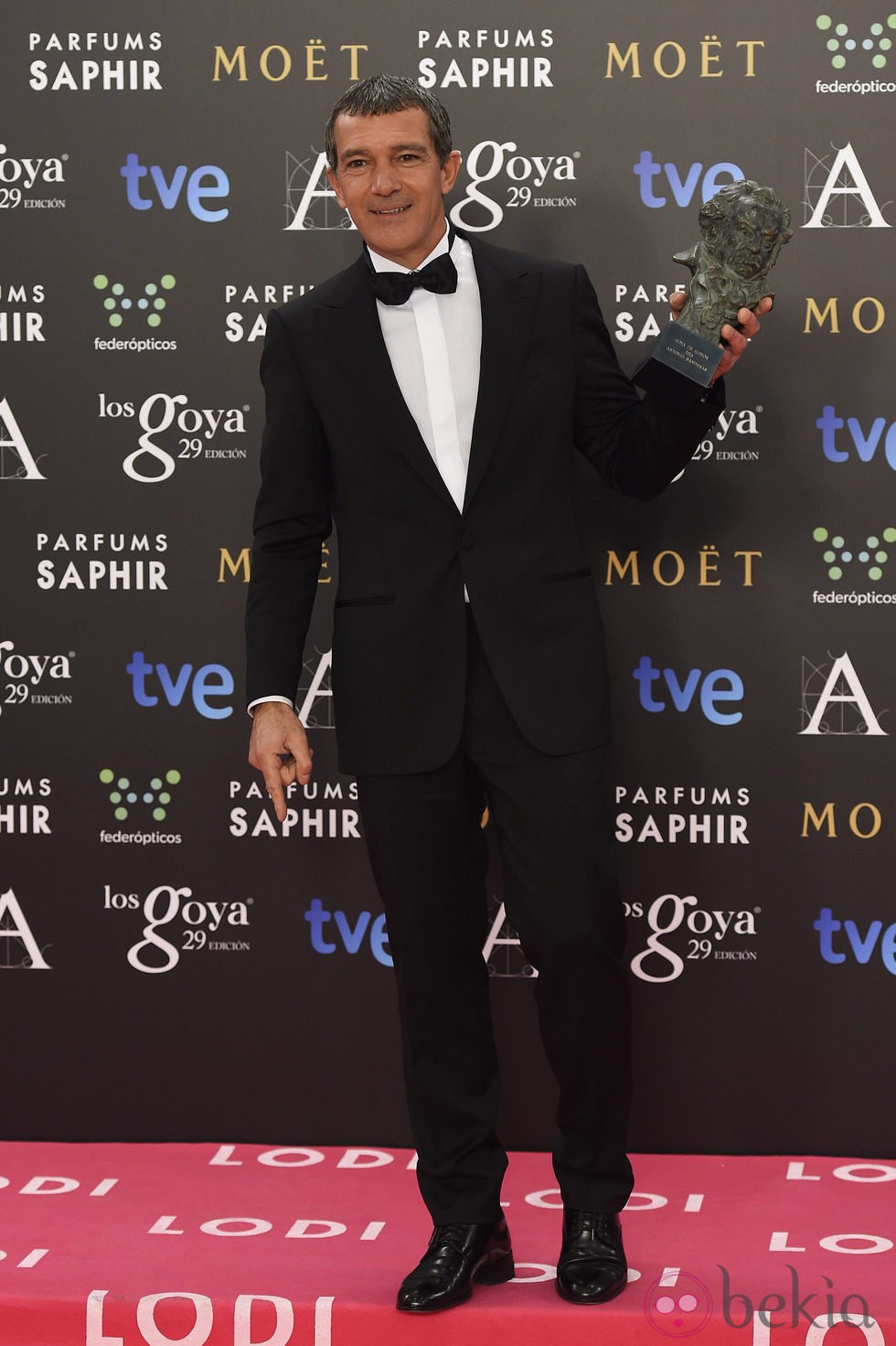 Antonio Banderas, Goya a Toda una Vida 2015