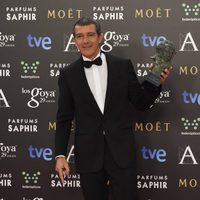 Antonio Banderas, Goya a Toda una Vida 2015