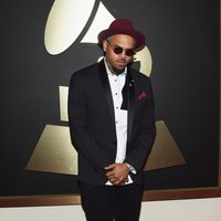 Chris Brown en la alfombra roja de los Grammy 2015