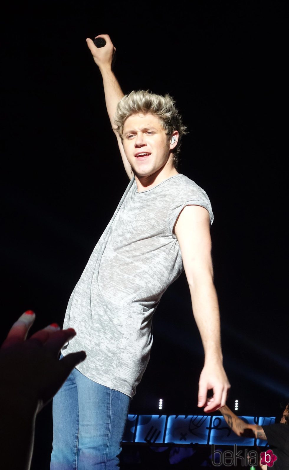 Niall Horan en un concierto de One Direction en Adelaida