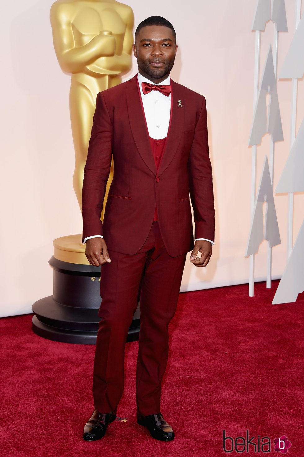 David Oyelowo llega a la alfombra roja de los Oscar 2015