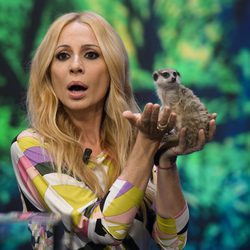 Marta Sánchez con un suricata en 'El Hormiguero'