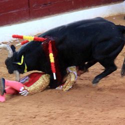 Fran Rivera, corneado en su reaparición en Olivenza