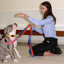 Irina Shayk jugando con un perro de un refugio de animales de Nueva York