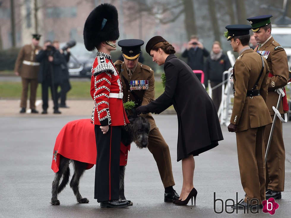 Kate Middleton saluda la mascota oficial de la guardia irlandesa en San Patricio 2015