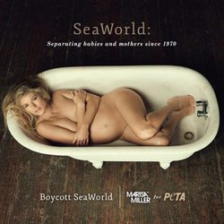 Marisa Miller se desnuda en favor de las ballenas en cautividad de los parques SeaWorld