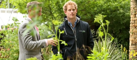 El Príncipe Harry en el Chelsea Flower Show 2015