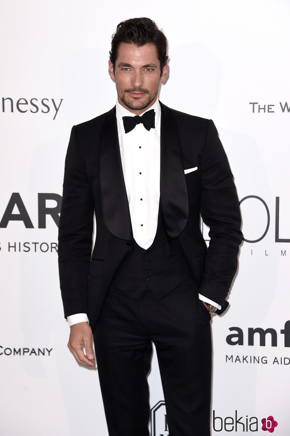 David Gandy en la gala amfAR del Festival de Cannes 2015