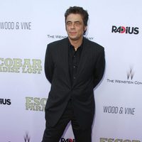 Benicio del Toro en la premiere de 'Escobar: Paraíso Perdido' en Los Angeles