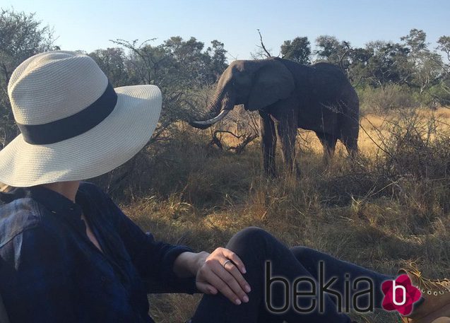 Nicky Hilton observando un elefante en su luna de miel