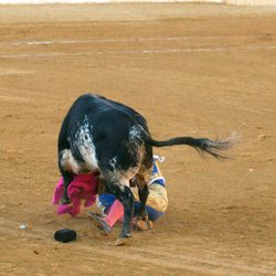 Fran Rivera, corneado por un toro en Huesca