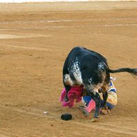 Fran Rivera, corneado por un toro en Huesca