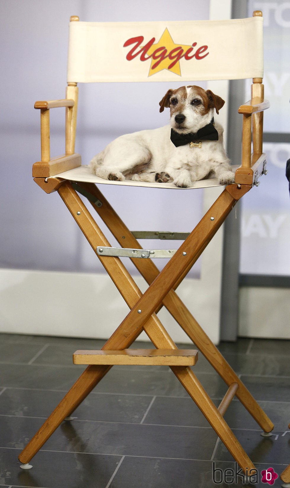 El perro actor Uggie the Dog