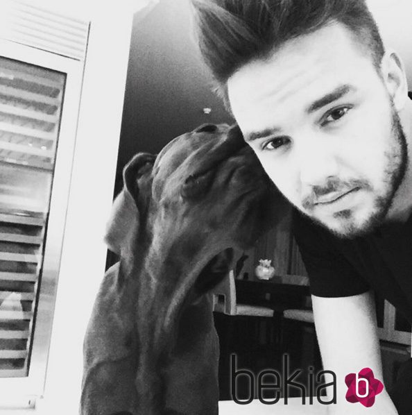 Liam Payne, acompañado de su perro, Watson