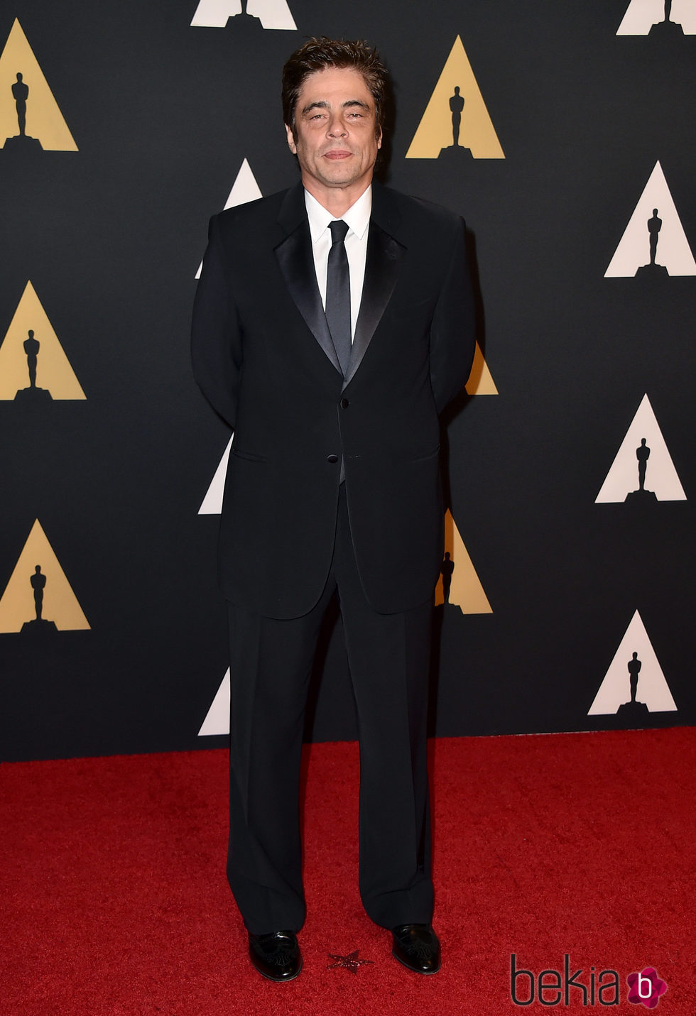 Benicio del Toro en los Governors Awards 2015