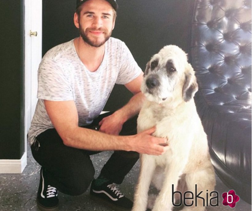 Liam Hemsworth adopta a un cachorro de seis meses