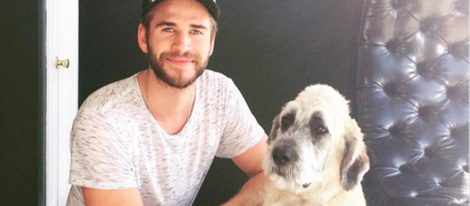 Liam Hemsworth adopta a un cachorro de seis meses