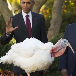 Barack Obama indultando a un pavo antes del día de Acción de Gracias