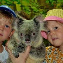 Los Príncipes Vicente y Josefina de Dinamarca en su quinto cumpleaños con un koala