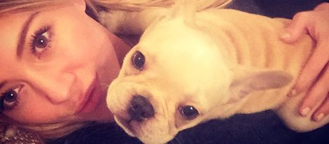 Hillary Duff y su perro Frenchie Beau