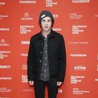 Logan Lerman en el Festival de Sundance 2016