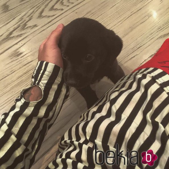 Justin Bieber publica una foto de su nueva mascota Phil