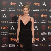 Cecilia Freire en la alfombra roja de los Premios Goya 2016