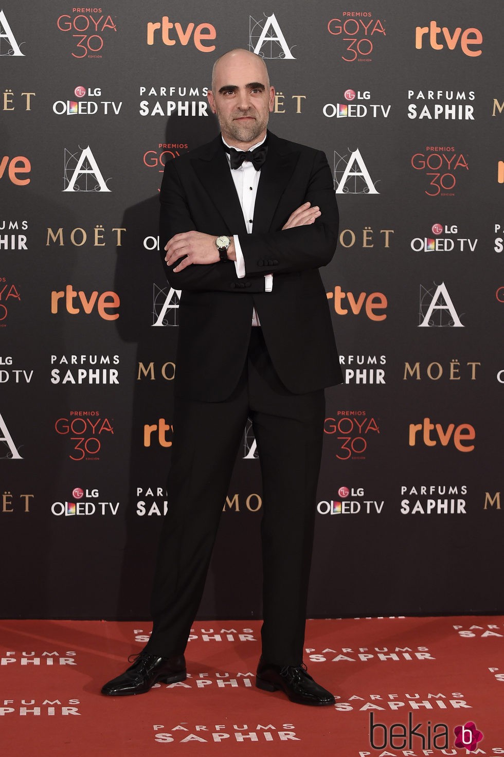 Luís Tosar en la alfombra roja de los Premios Goya 2016