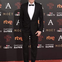 Fernando Guillén Cuervo en la alfombra roja de los Premios Goya 2016