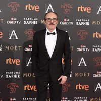 Fernando Guillén Cuervo en la alfombra roja de los Premios Goya 2016