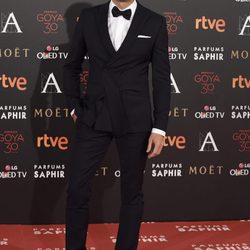 Álex García en la alfombra roja de los Premios Goya 2016