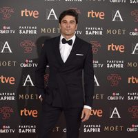 Álex García en la alfombra roja de los Premios Goya 2016