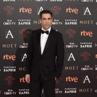 Unax Ugalde en la alfombra roja de los Premios Goya 2016