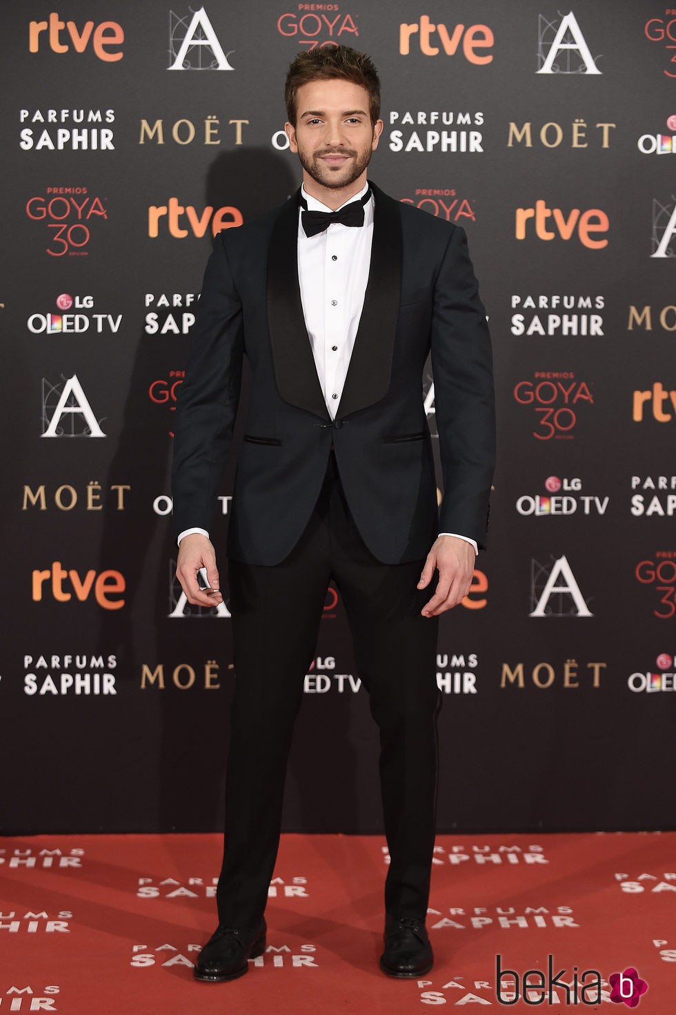 Pablo Alborán en la alfombra roja de los Premios Goya 2016