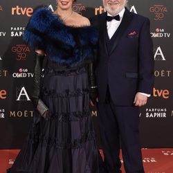 Juan Echanove en la alfombra roja de los Premios Goya 2016