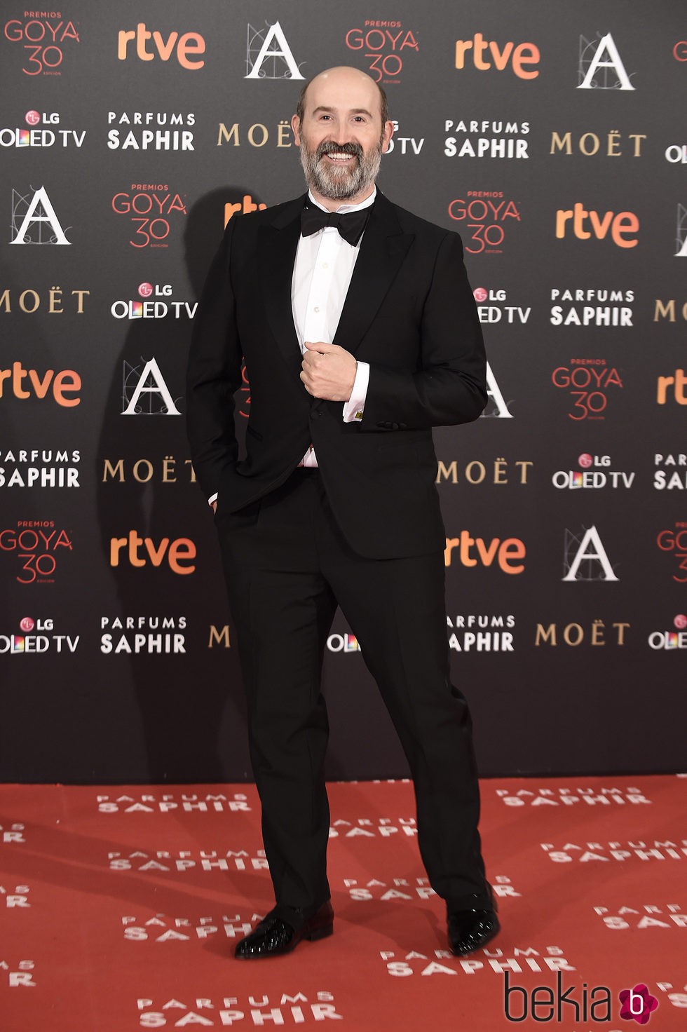 Javier Cámara en la alfombra roja de los Premios Goya 2016