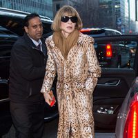 Anna Wintour en el desfile de Alexander Wang en la FW de Nueva York