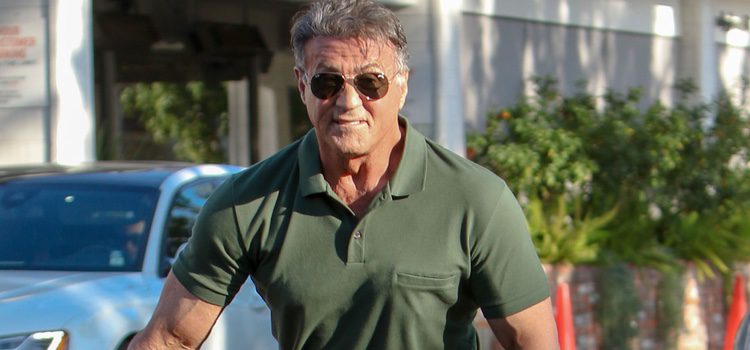 Sylvester Stallone vuelve a su vida diaria tras quedarse sin el Oscar 2016