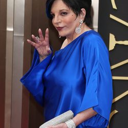 Liza Minelli en la polémica alfombra roja de los Premios Oscar 2014