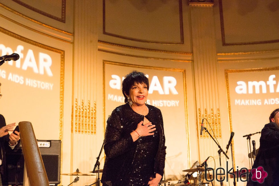 Liza Minelli en la gala anual de amfAR en Nueva York